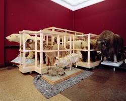 Large Mammal Storage Bay #1, Canterbury Museum