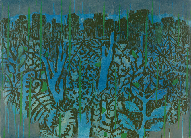Juliet Peter Rain Forest II 1970. Lithograph. Collection of Christchurch Art Gallery Te Puna o Waiwhetū, purchased 1973.