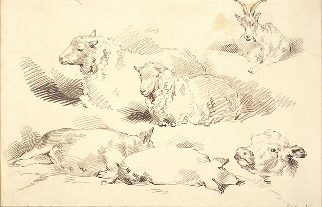 Morley’s Animals