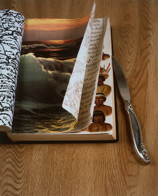 Image: uploads/2026_01/91_19.jpg