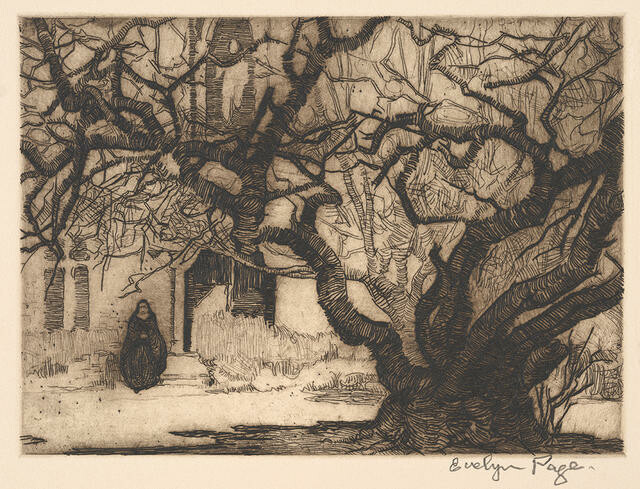 The Medlar Tree