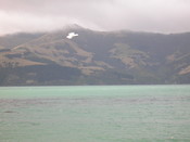 Wainui - to the west of the long harbour