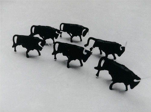 Peter Peryer Bulls 2006. Photograph. Collection of Christchurch Art Gallery, purchased 2006. Reproduced courtesy of the artist.