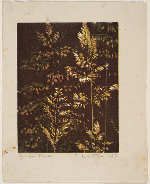 Grass in Flower