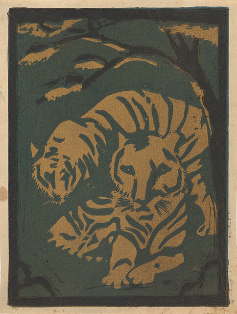 Tigers