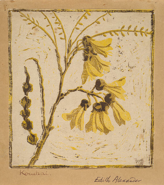 Kowhai
