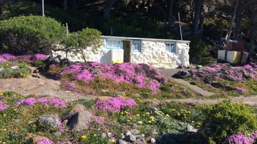 Tales from Taylors Mistake