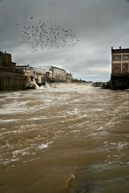 Anne Noble Mataura River, discharge of treated meatworks wastewater from the Alliance Group meat processing plant 2023. Digital print, pigment on paper. Collection of Te Rūnanga o Ngāi Tahu