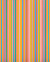 Bridget Riley Feature Tour