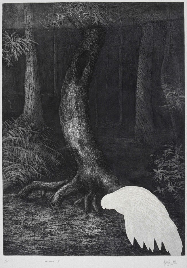 Denise Copland Avifauna II 1991. Etching, aquatint. Collection of Christchurch Art Gallery Te Puna o Waiwhetū, purchased 1993