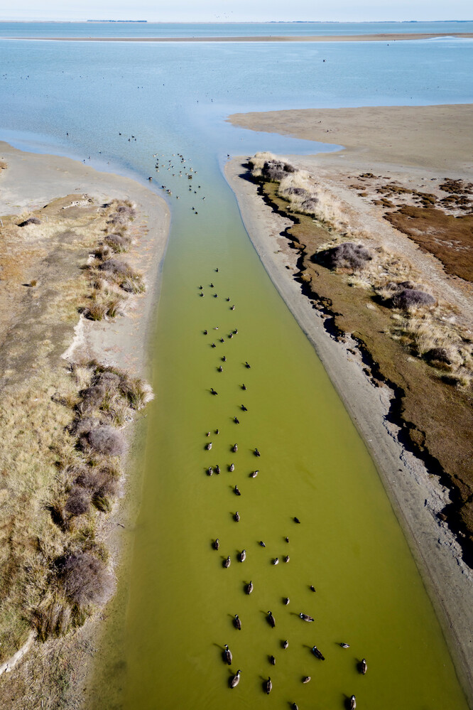 Anne Noble Huritini Halswell River, entering Te Waihora Lake Ellesmere 2024. Digital print, pigment on paper. Collection of Te Rūnanga o Ngāi Tahu
