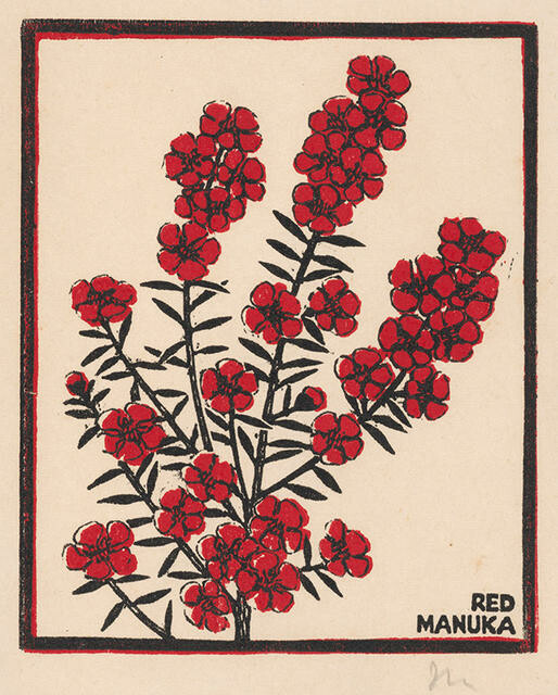 Red Manuka