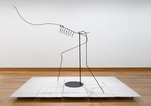 South Island giant moa, Dinornis robustus