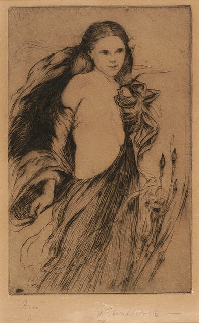 Iris