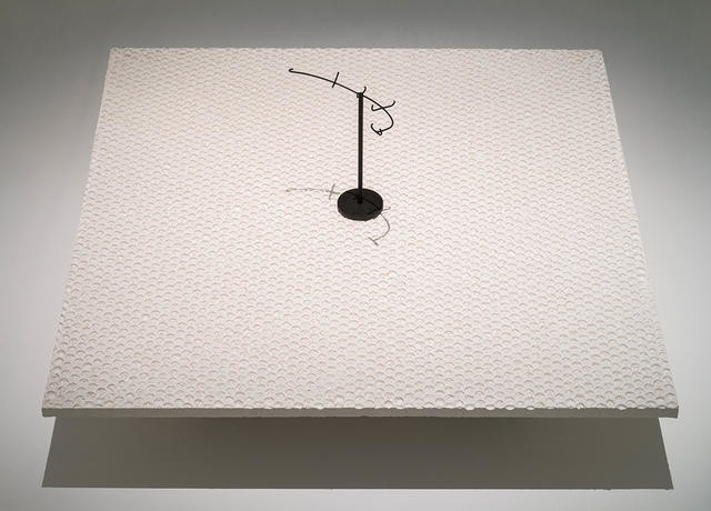 bird of unknown affinities, Manu antiquus by Dane Mitchell