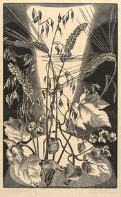 The Harvest