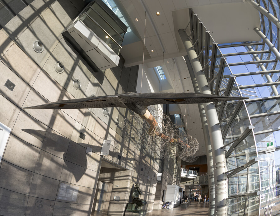 Shona Rapira Davies Ko te Kihikihi Taku Ingoa 2022. Pōhutukawa, steel wire, stainless steel bolts, plywood, graphite, harakeke. Courtesy of the artist