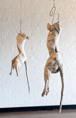 Sam Harrison Wallaby 1  and 2 2011. Plaster and chicken wire. Courtesy of Sam Harrison and Fox Jensen Gallery.