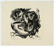 Fox Cubs