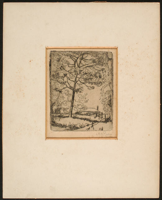 Untitled [House through trees]