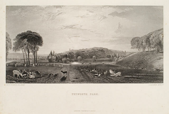 Petworth Park