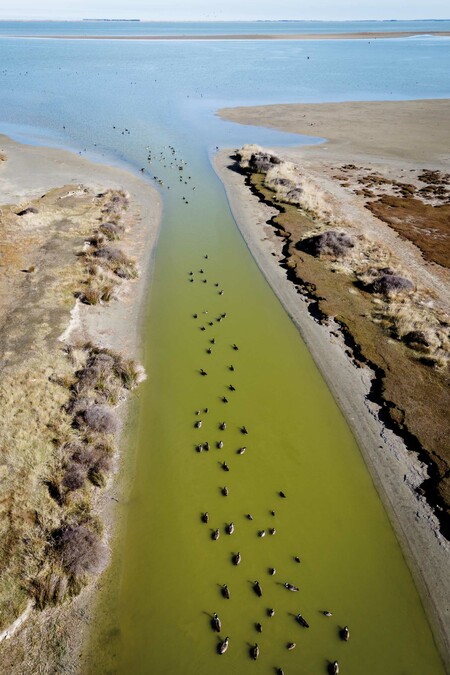 Anne Noble Huritini Halswell River, entering Te Waihora Lake Ellesmere 2024. Digital print, pigment on paper. Collection of Te Rūnanga o Ngāi Tahu