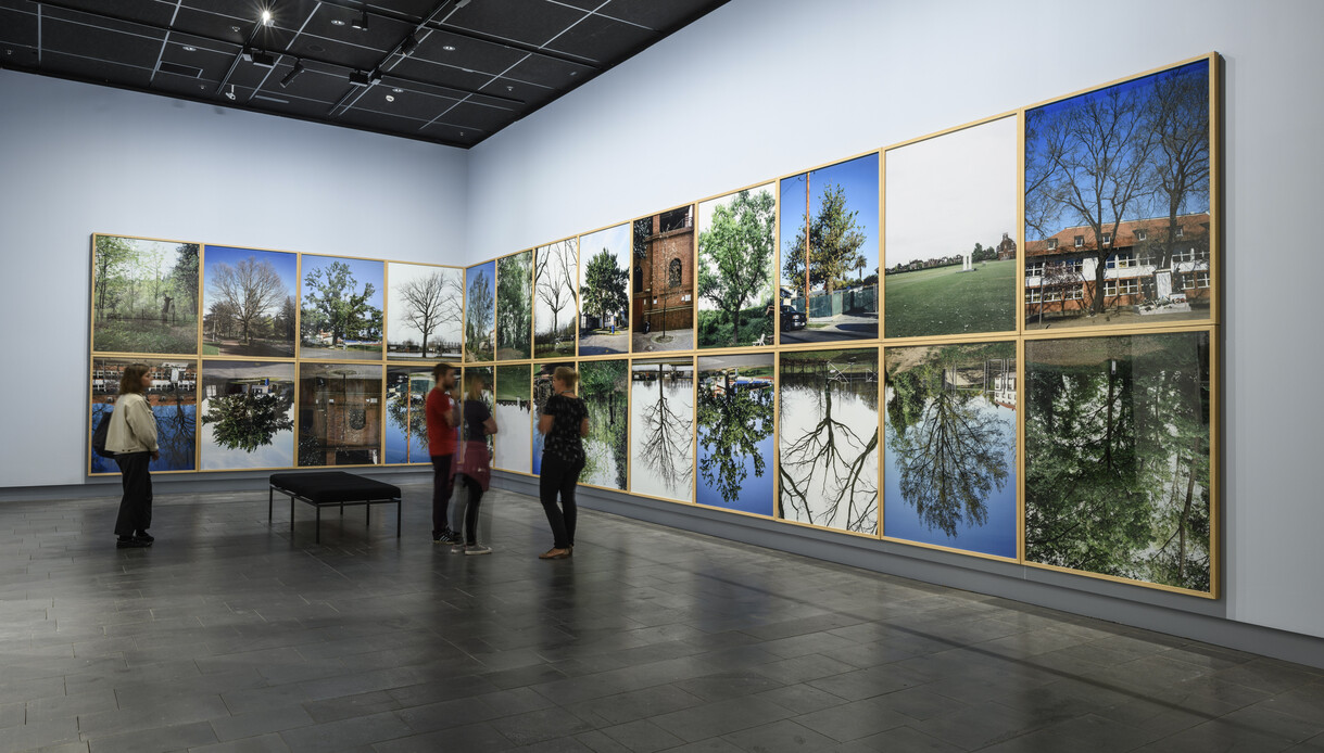 in a forest by Ann Shelton