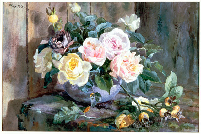 Roses