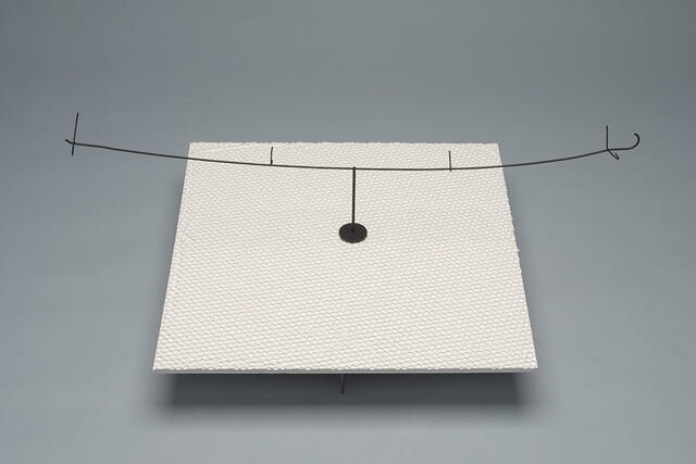 Miocene false-toothed pelican, Pelagornis miocaenus