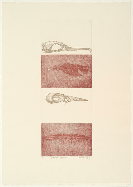 Moeraki Banner