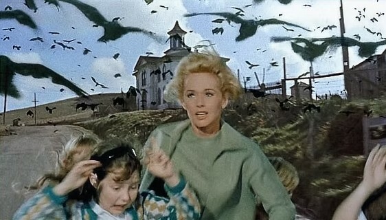 The Birds