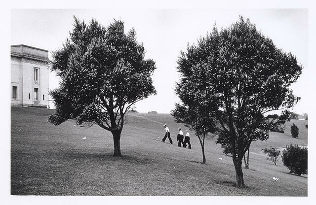 Auckland Museum Hill