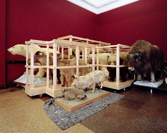 Neil Pardington's Large Mammal Storage Bay #1, Canterbury Museum