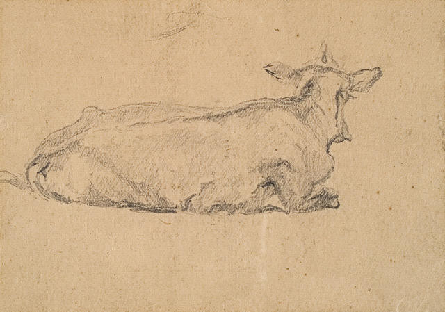 Sketchbook Study Of A Cow
