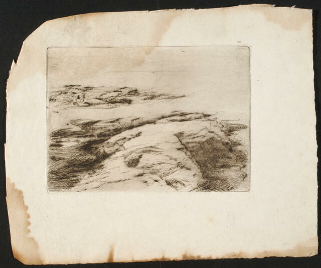 Untitled [coastal rockpool]